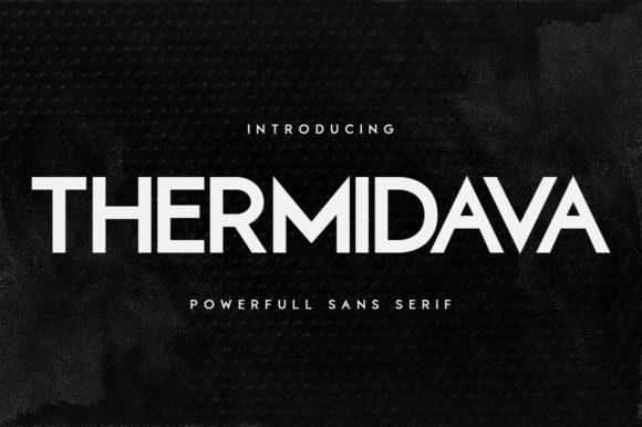 [Creativefabrica] Thermindava Font (2021)_0.jpg